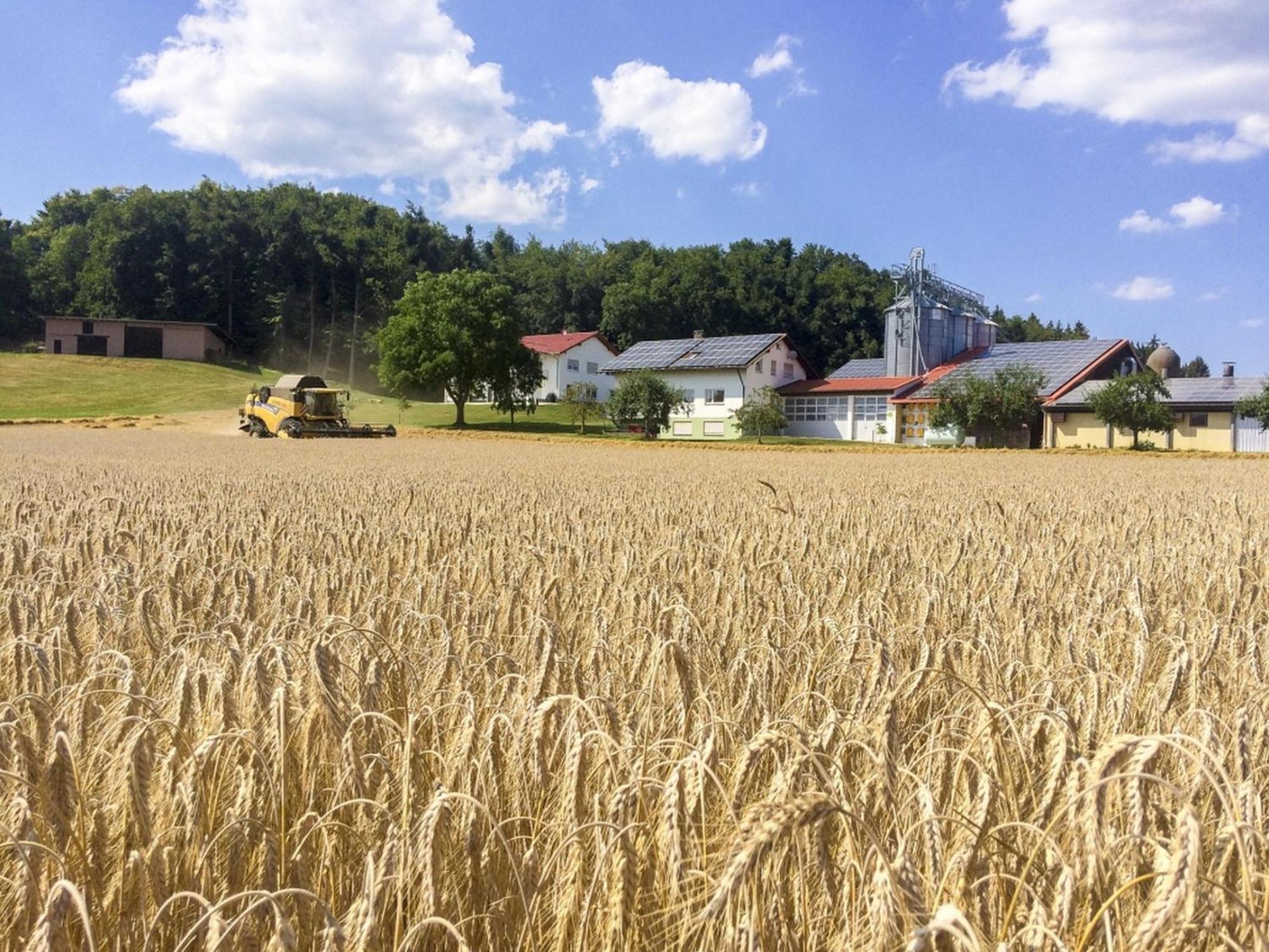 Hof Am Horn - Fewos In Der Natur Laichingen Esterno foto