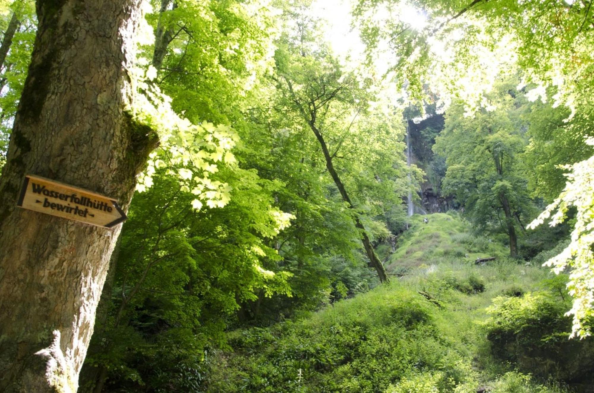 Hof Am Horn - Fewos In Der Natur Laichingen Esterno foto